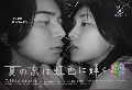 DVDซีรี่ย์ญี่ปุ่น / Summer Romance 3 V2D จบค่ะ..