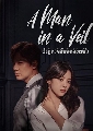 dvd A Man in a Veil / ปาฏิหาริย์พลิกลิขิตฟ้า ซีรี่ย์เกาหลี (พากย์ไทย+ซับไทย) 14 แผ่นจบ