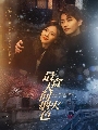 DVD ซีรีย์จีน : Falling Before Fireworks (2023) ดอกไม้ไฟแห่งรัก 4 แผ่นจบ